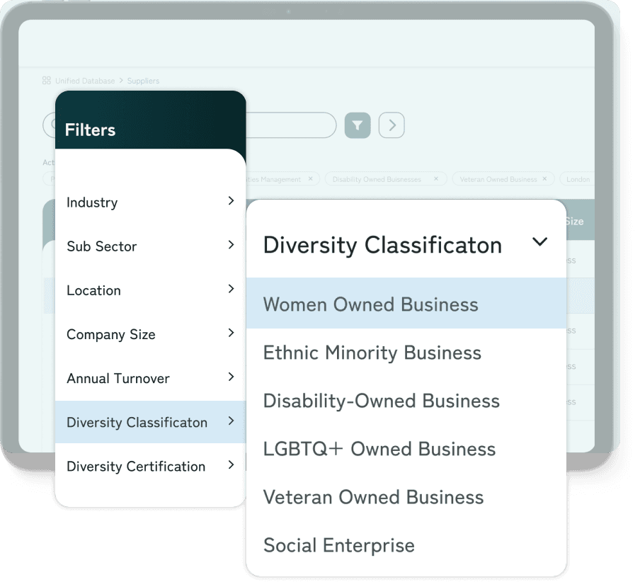 Diversity classification categories including women, ethnic minority, LGBTQ+, veteran, disability-owned and social enterprises